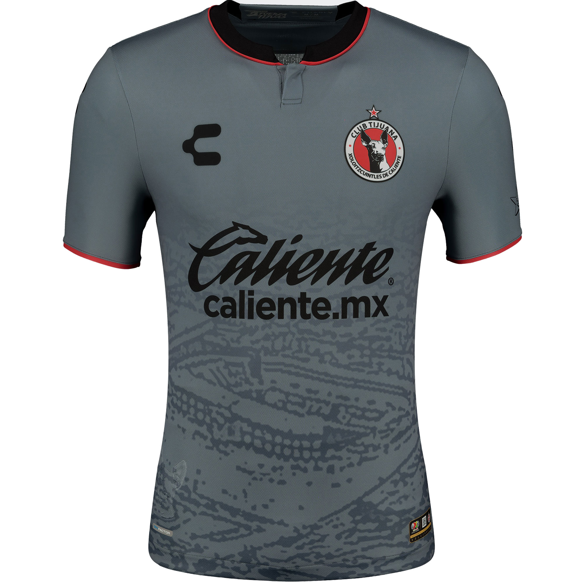 Compra camiseta club tijuana charly segunda equipación auténtica 202324
gris – Jerseys y Camisetas de la Liga MX