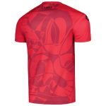 Compra camiseta de entrenamiento club tijuana charly dry factor 202324
roja – Jerseys y Camisetas de la Liga MX
