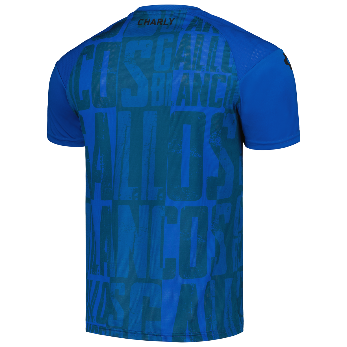 Compra camiseta de entrenamiento queretaro fc charly dry factor 202324
-azul – Jerseys y Camisetas de la Liga MX