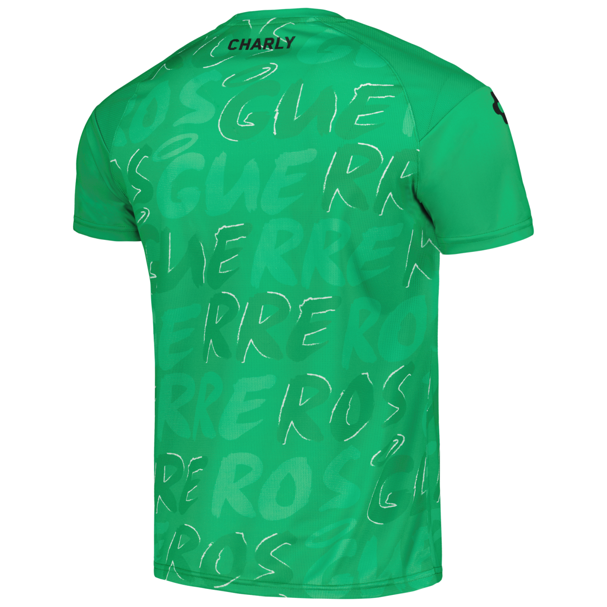 Compra camiseta de entrenamiento santos laguna charly dry factor 202324
-verde – Jerseys y Camisetas de la Liga MX