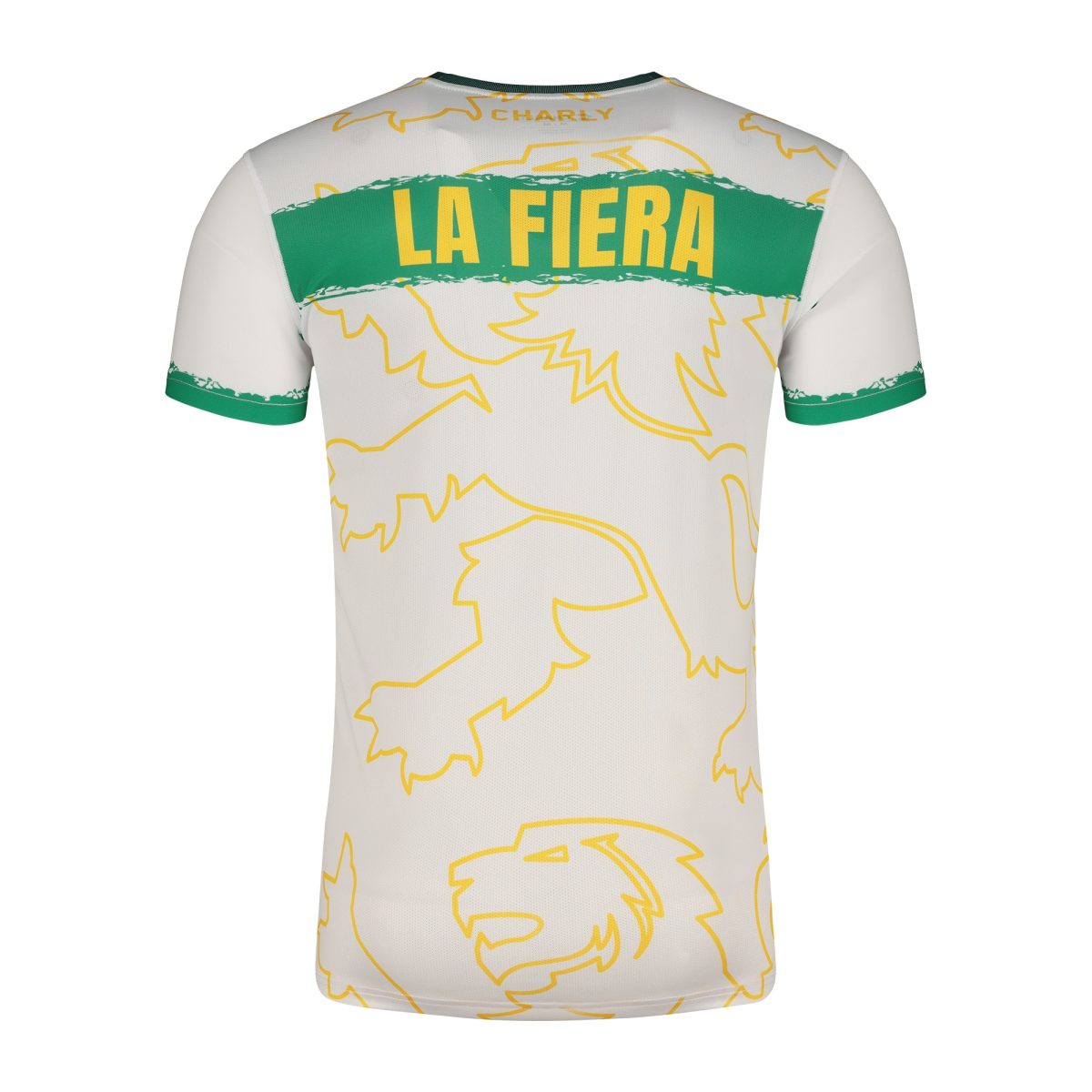 Compra camiseta club león charly dry factor de alto rendimiento para entrenamiento 202425 – verde – Jerseys y Camisetas de la Liga MX