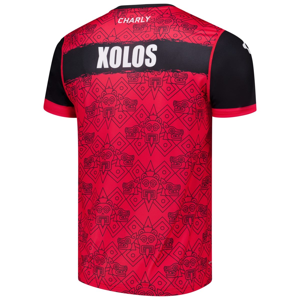 Compra camiseta de entrenamiento club tijuana charly dry factor 202425
roja – Jerseys y Camisetas de la Liga MX