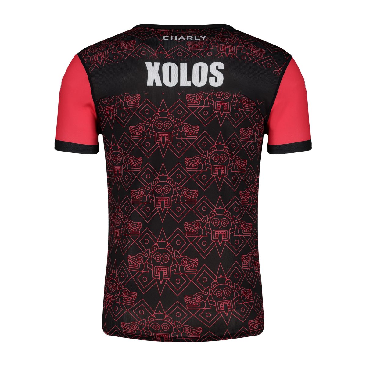 Compra camiseta de entrenamiento club tijuana charly dry factor 202425
negra – Jerseys y Camisetas de la Liga MX