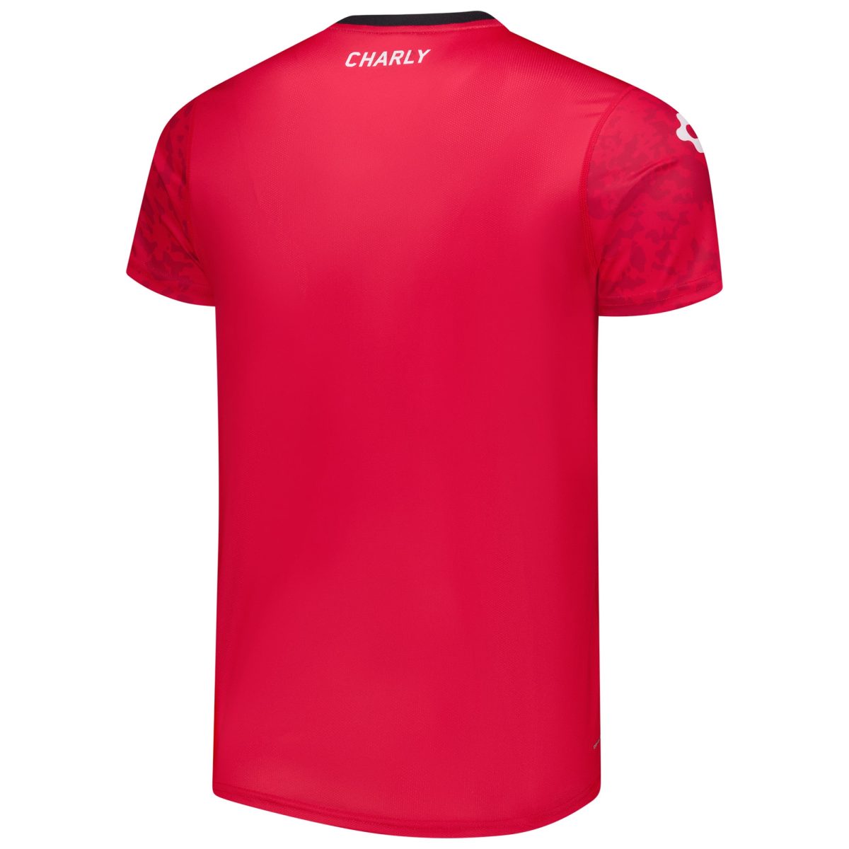 Compra camiseta club atlas charly dry factor de alto rendimiento para entrenamiento 202425 – roja – Jerseys y Camisetas de la Liga MX