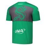 Compra camiseta santos laguna charly 202021 logo
-verde – Jerseys y Camisetas de la Liga MX