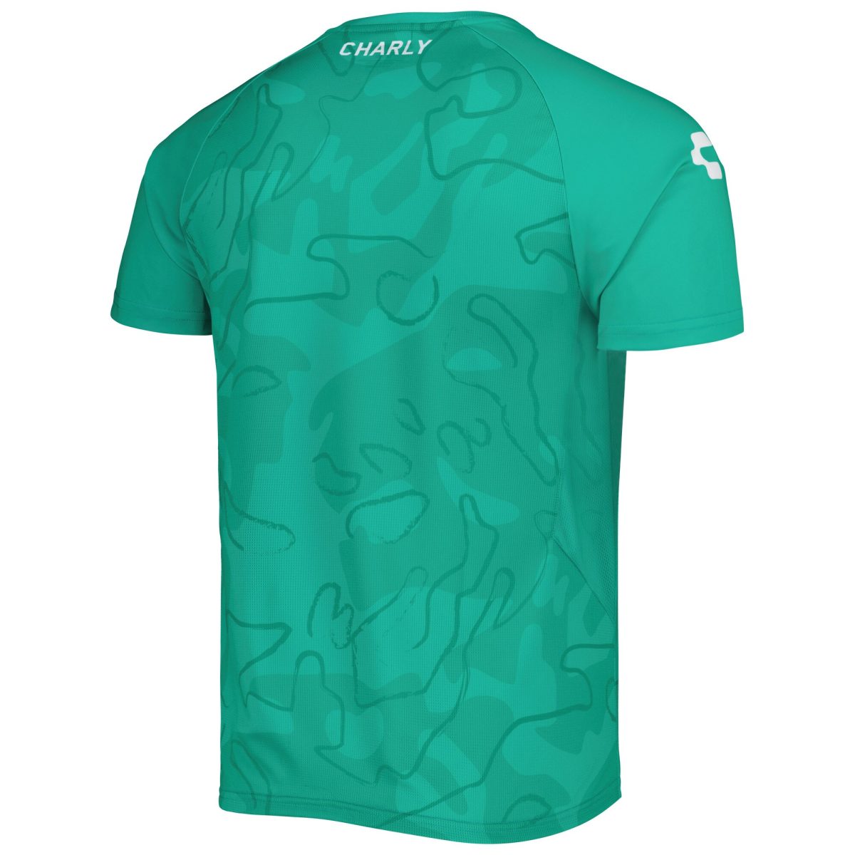 Compra camiseta de entrenamiento club león charly – verde – Jerseys y Camisetas de la Liga MX