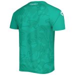 Compra camiseta de entrenamiento club león charly – verde – Jerseys y Camisetas de la Liga MX