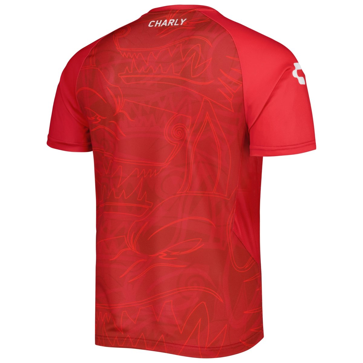 Compra camiseta de entrenamiento club tijuana charly
roja – Jerseys y Camisetas de la Liga MX
