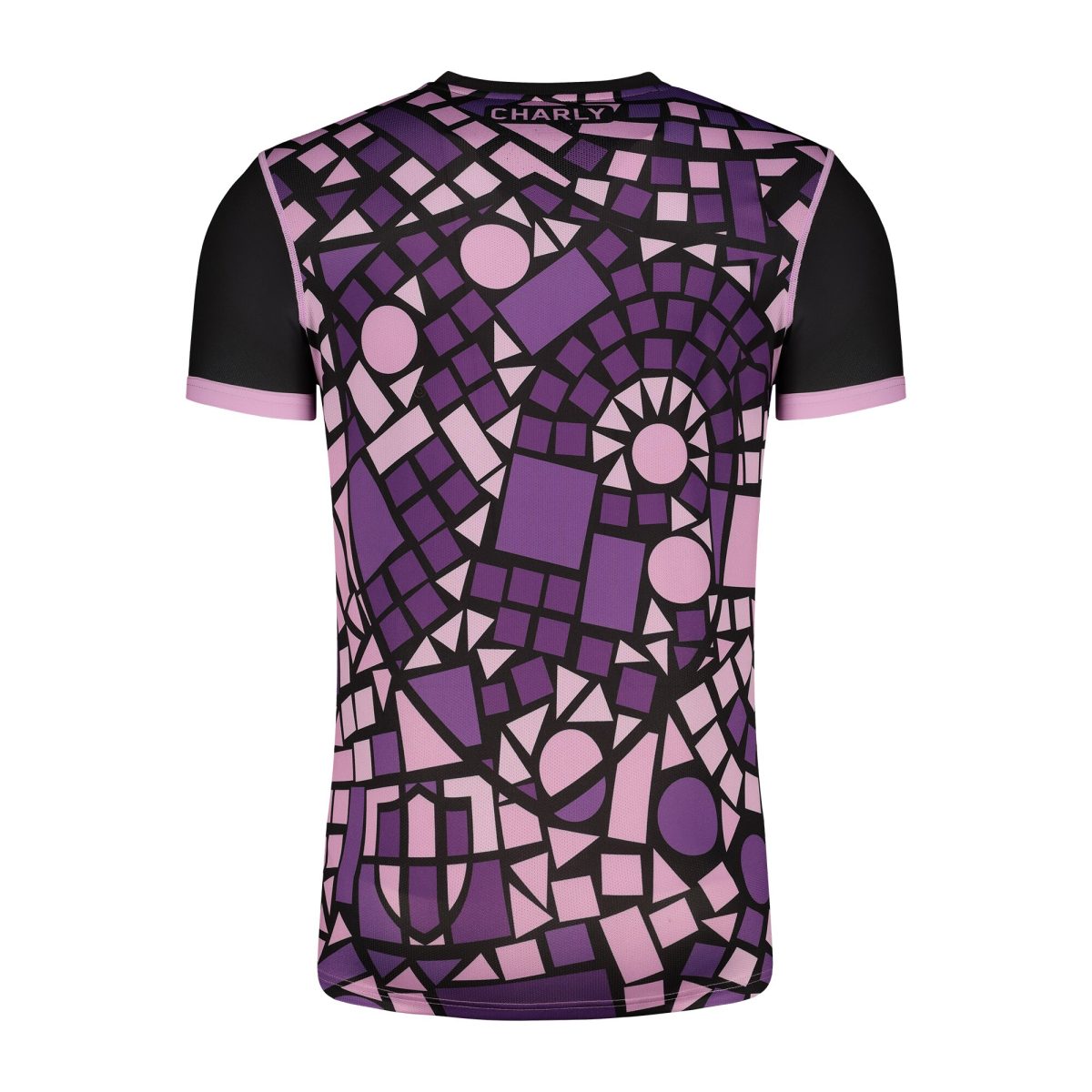 Compra camiseta c.f. pachuca charly dry factor 202425 de entrenamiento de alto rendimiento – morada – Jerseys y Camisetas de la Liga MX