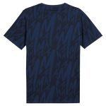 Compra camiseta cf monterrey puma ftblculture aop – azul – Jerseys y Camisetas de la Liga MX
