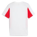 Compra camiseta chivas puma ftblarchive – blanca – Jerseys y Camisetas de la Liga MX