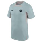 Compra camiseta club américa nike strike de entrenamiento – gris – Jerseys y Camisetas de la Liga MX