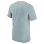 Compra camiseta club américa nike strike de entrenamiento – gris – Jerseys y Camisetas de la Liga MX
